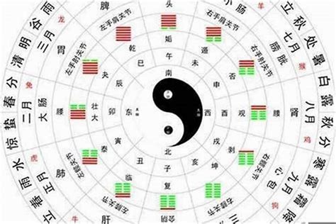 八字土金多|五行中土多用什么来补救,五行土太多要注意怎么调理